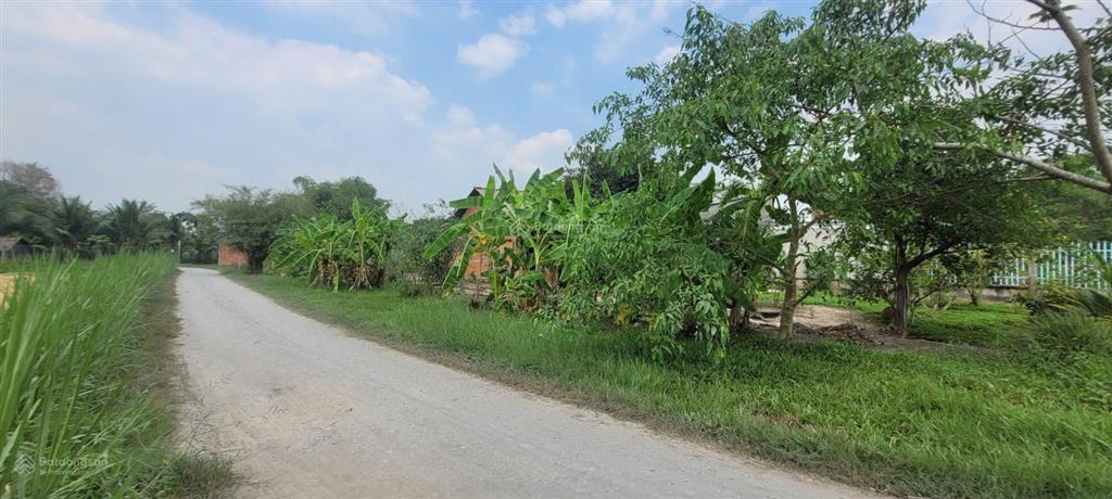 Thửa đất số 625, tờ bản đồ số 14, ấp bàu trai thượng, xã tân phú, huyện đức hòa  02633905