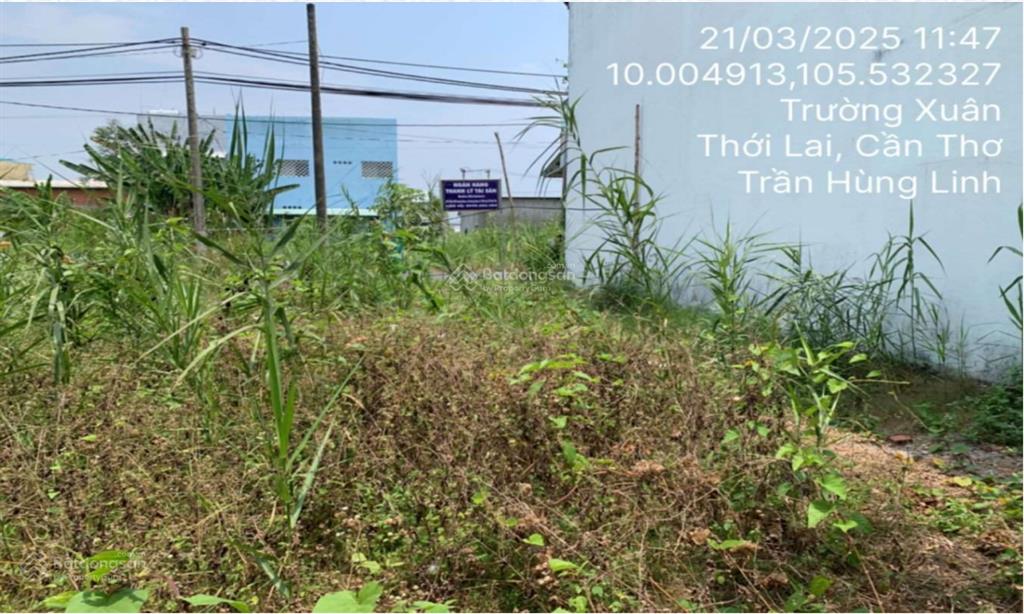Ngân hàng bán trực tiếp, thủ tục nhanh gọn 74m2 đất tại trường xuân, thới lai, cần thơ03753259