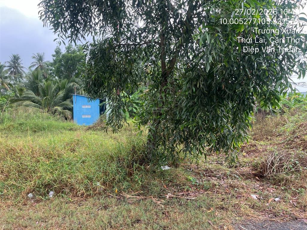 Bán đất tại td1791, khu thương mại trường xuân, thới lai, cần thơ, 74 m204693196