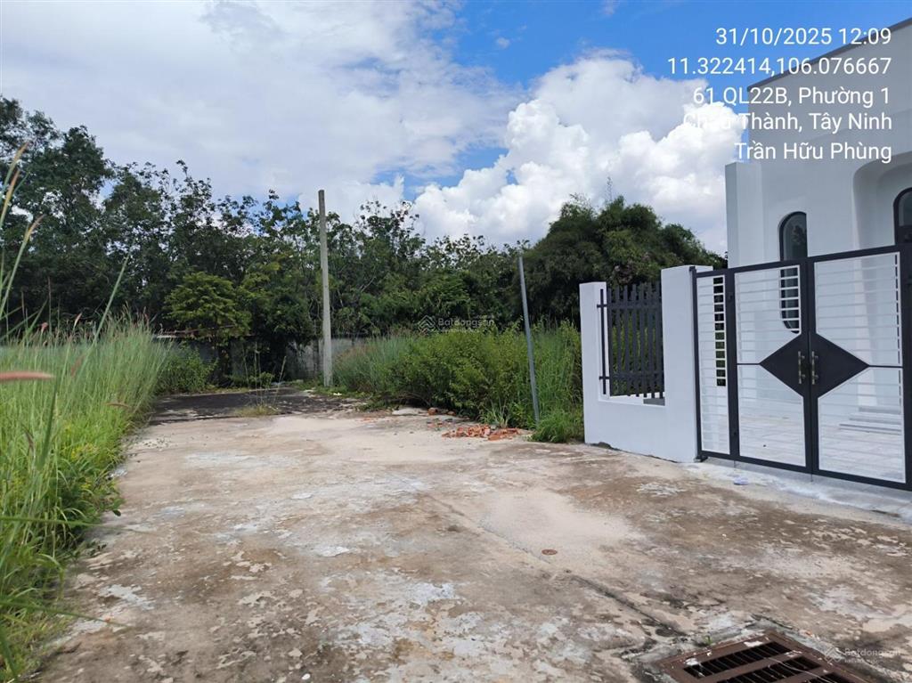 Bán đất ấp bình phong, thái bình, châu thành, tây ninh, 99.1m2, pháp lý đầy đủ  04099434