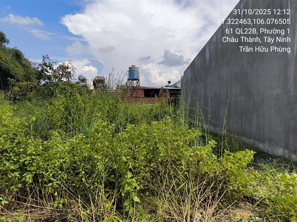 Bán đất ấp bình phong, thái bình, châu thành, tây ninh, 99.1m2, pháp lý đầy đủ  04099434