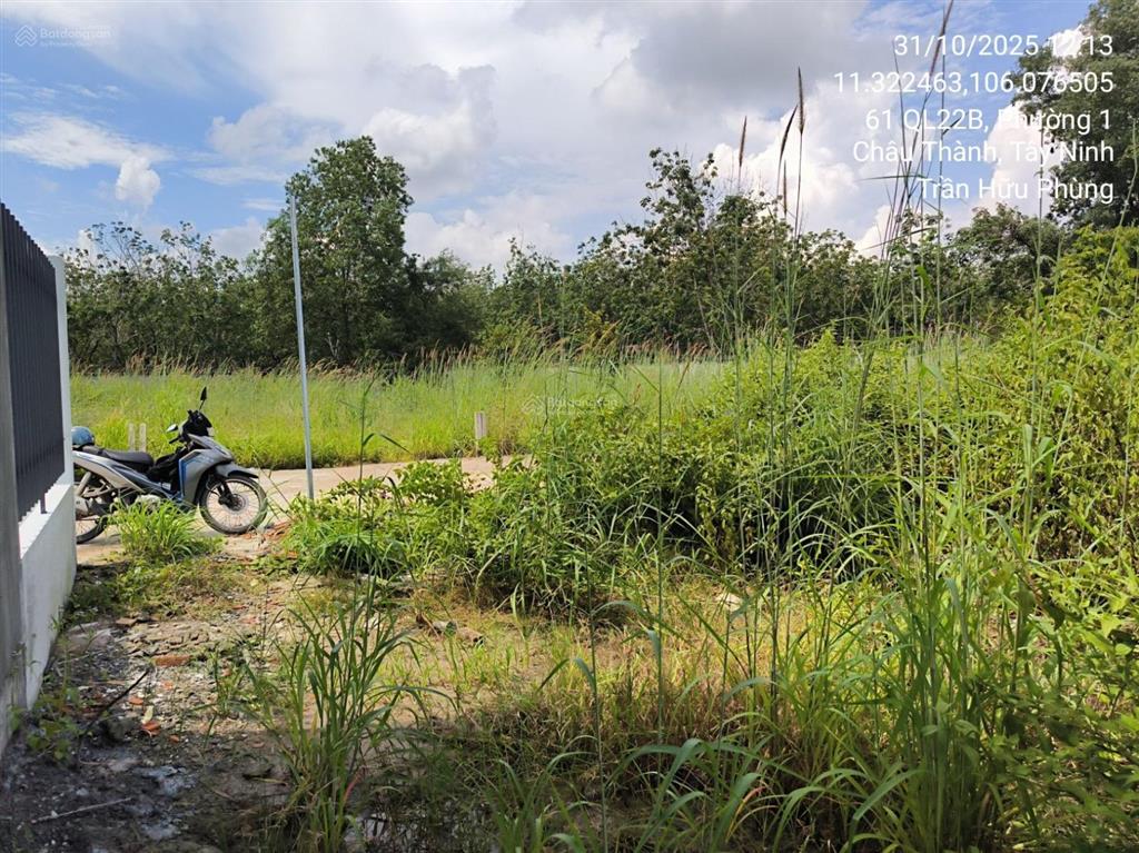 Bán đất ấp bình phong, thái bình, châu thành, tây ninh, 99.1m2, pháp lý đầy đủ  04099434