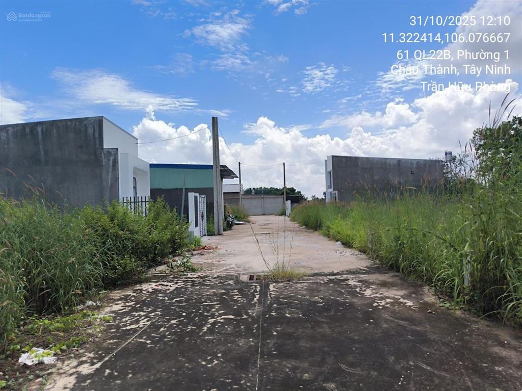 Bán đất ấp bình phong, thái bình, châu thành, tây ninh, 99.1m2, pháp lý đầy đủ  04099434