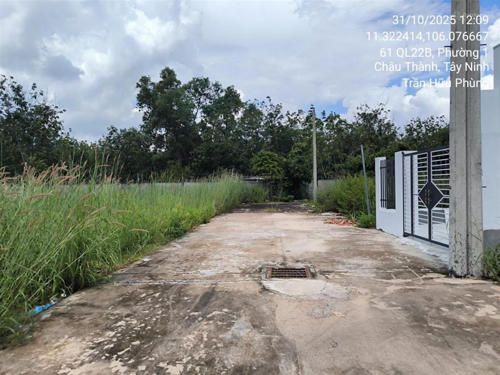 Bán đất ấp bình phong, thái bình, châu thành, tây ninh, 99.1m2, pháp lý đầy đủ  04099434