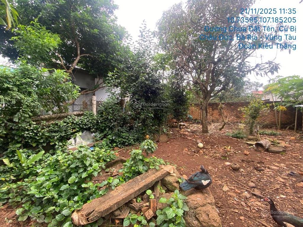Ngân hàng thanh lý đất thửa 843, cù bị, châu đức, bà rịa vũng tàu, 312,4 m2  02604650