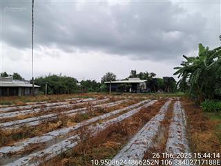 Ngân hàng bán trực tiếp, thủ tục nhanh gọn 1.185m2 đất tại tân mỹ, huyện đức hòa, tỉnh long an