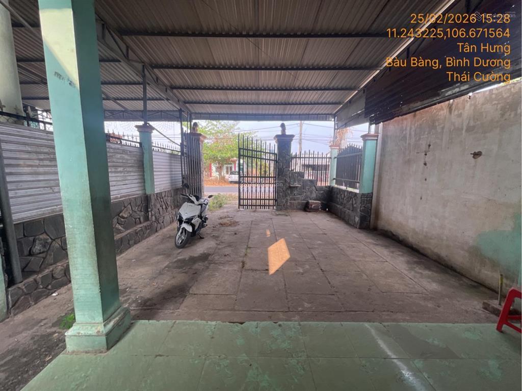 Bán nhà riêng tại thửa đất số 77, tân hưng, bàu bàng, bình dương, 26 tỷ, 243,4m204338176