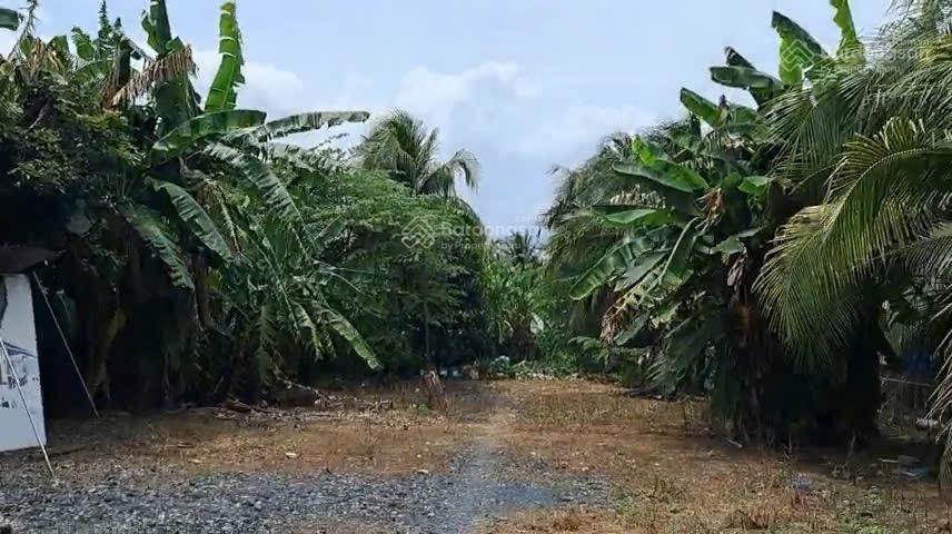 Ngân hàng thanh lý 3.133m2 nhà xưởng tại phường trung an, mỹ tho, tiền giang