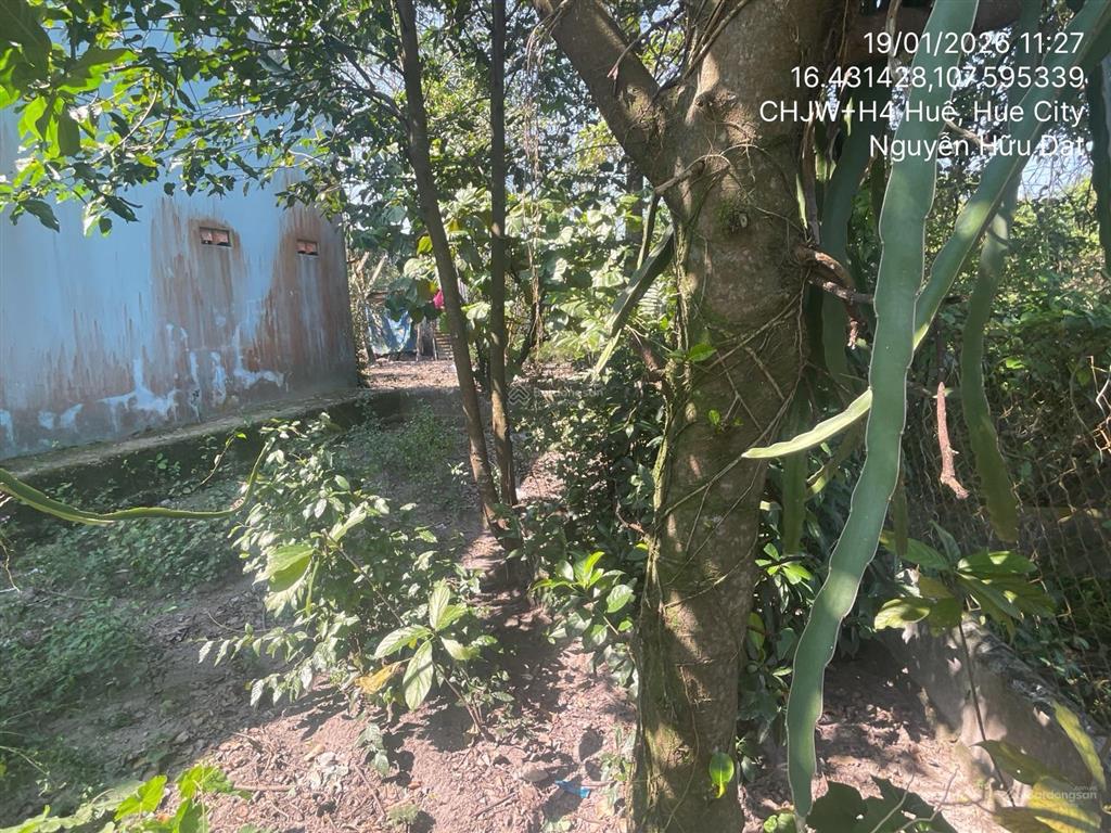 Ngân hàng thanh lý thửa đất tại thôn tứ tây, xã thủy an, thành phố huế, thừa thiên huế01166756