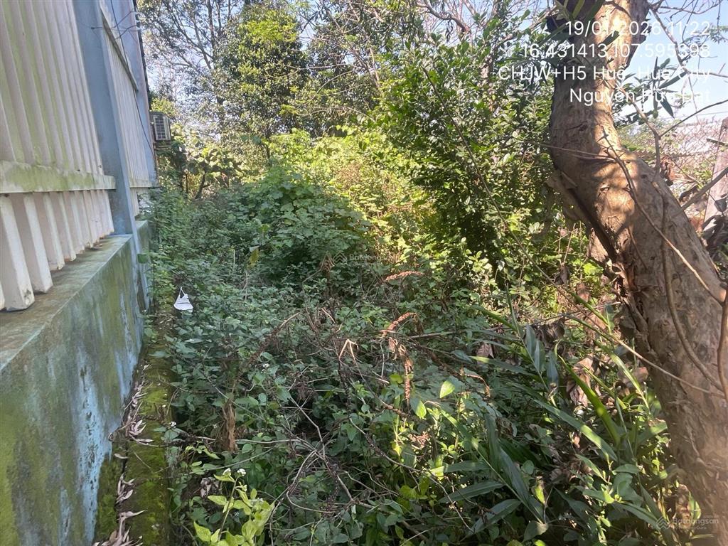 Ngân hàng thanh lý thửa đất tại thôn tứ tây, xã thủy an, thành phố huế, thừa thiên huế01166756