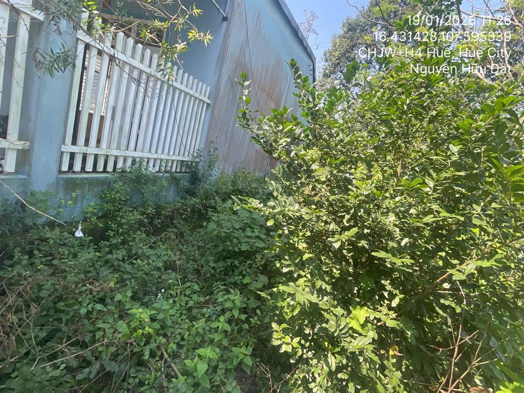 Ngân hàng thanh lý thửa đất tại thôn tứ tây, xã thủy an, thành phố huế, thừa thiên huế01166756