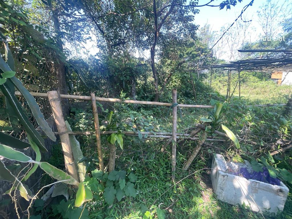 Ngân hàng thanh lý thửa đất tại thôn tứ tây, xã thủy an, thành phố huế, thừa thiên huế01166756