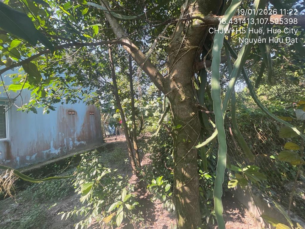 Ngân hàng thanh lý thửa đất tại thôn tứ tây, xã thủy an, thành phố huế, thừa thiên huế01166756
