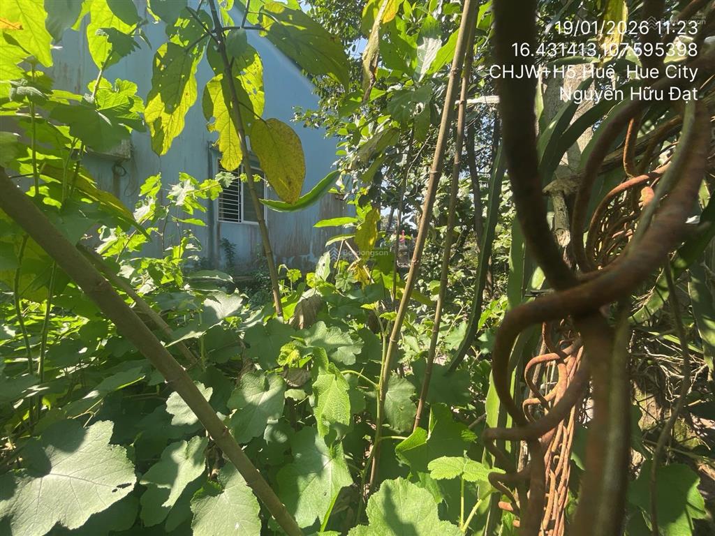 Ngân hàng thanh lý thửa đất tại thôn tứ tây, xã thủy an, thành phố huế, thừa thiên huế01166756