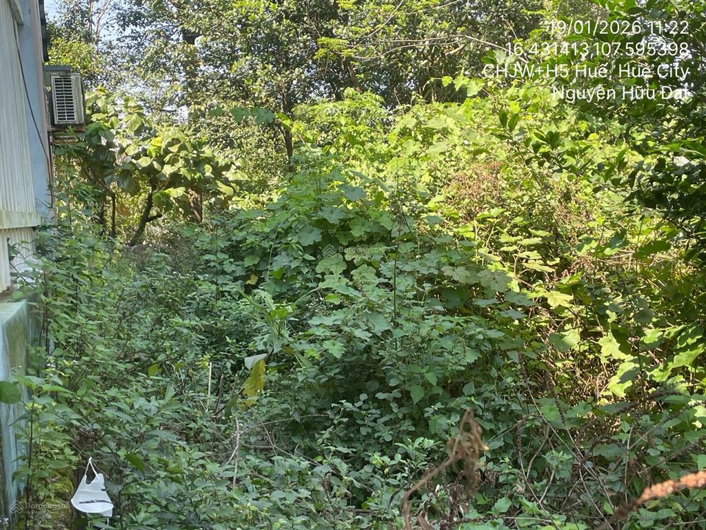 Ngân hàng thanh lý thửa đất tại thôn tứ tây, xã thủy an, thành phố huế, thừa thiên huế01166756