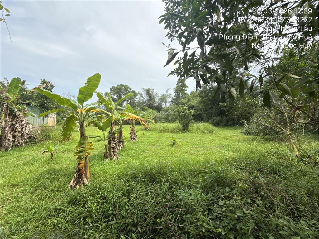 Ngân hàng thanh lý thửa đất tại thị trấn phong điền, huyện phong điền, tỉnh thừa thiên huế02830893