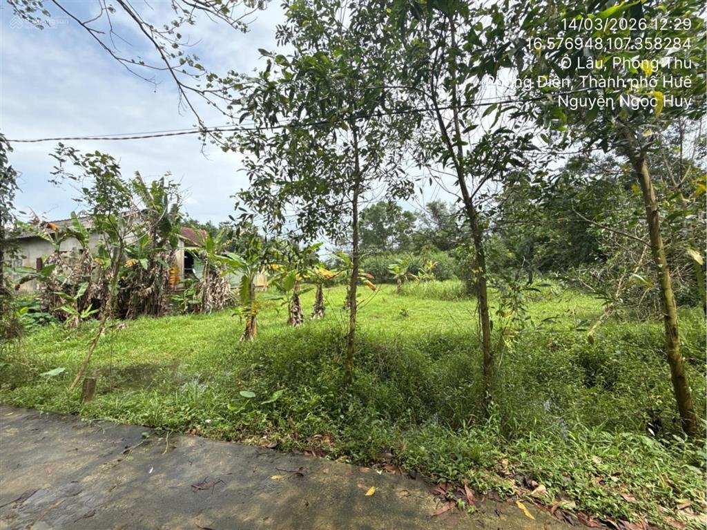 Ngân hàng thanh lý thửa đất tại thị trấn phong điền, huyện phong điền, tỉnh thừa thiên huế02830893