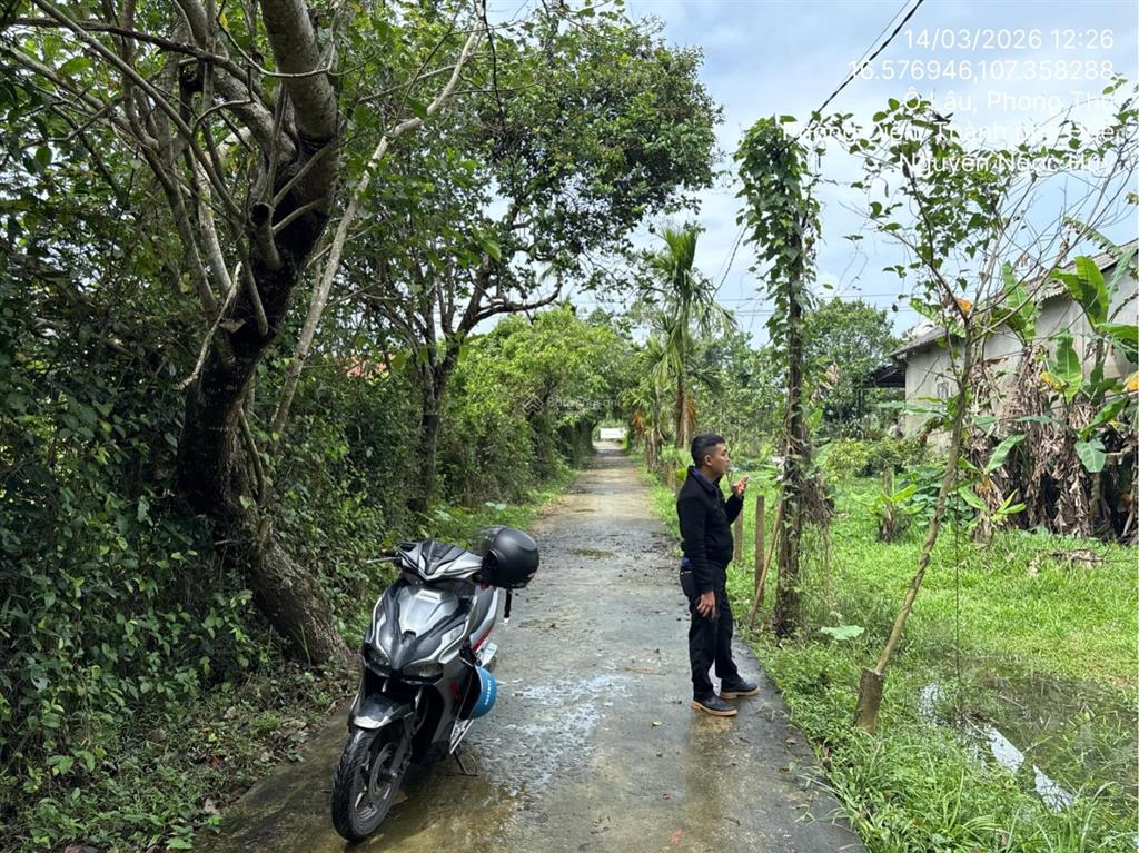Ngân hàng thanh lý thửa đất tại thị trấn phong điền, huyện phong điền, tỉnh thừa thiên huế02830893