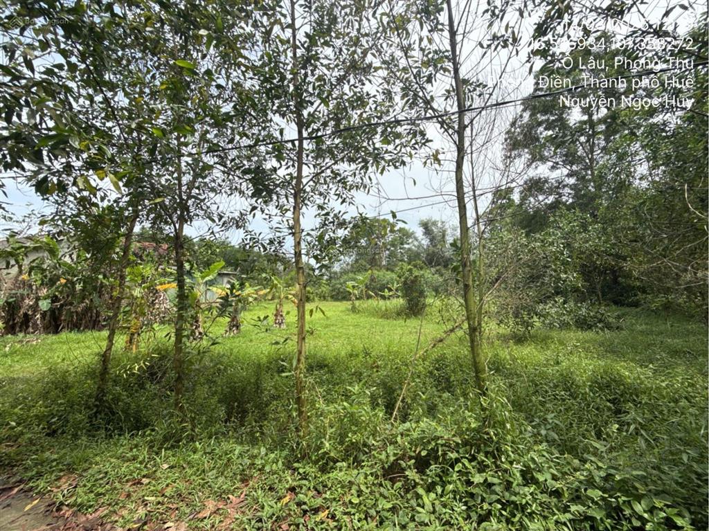 Ngân hàng thanh lý thửa đất tại thị trấn phong điền, huyện phong điền, tỉnh thừa thiên huế02830893