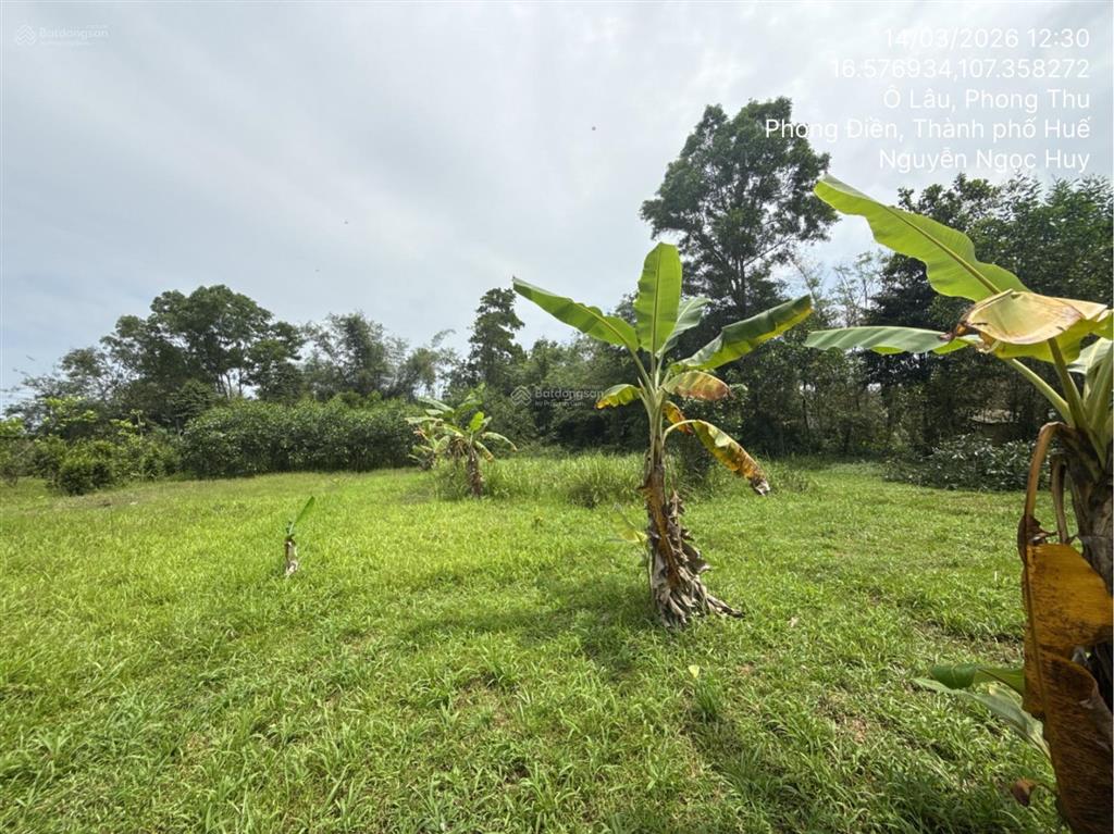 Ngân hàng thanh lý thửa đất tại thị trấn phong điền, huyện phong điền, tỉnh thừa thiên huế02830893