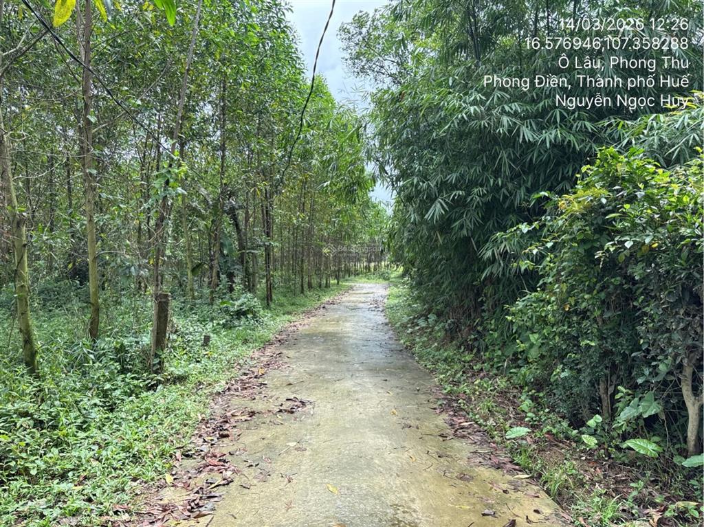 Ngân hàng thanh lý thửa đất tại thị trấn phong điền, huyện phong điền, tỉnh thừa thiên huế02830893