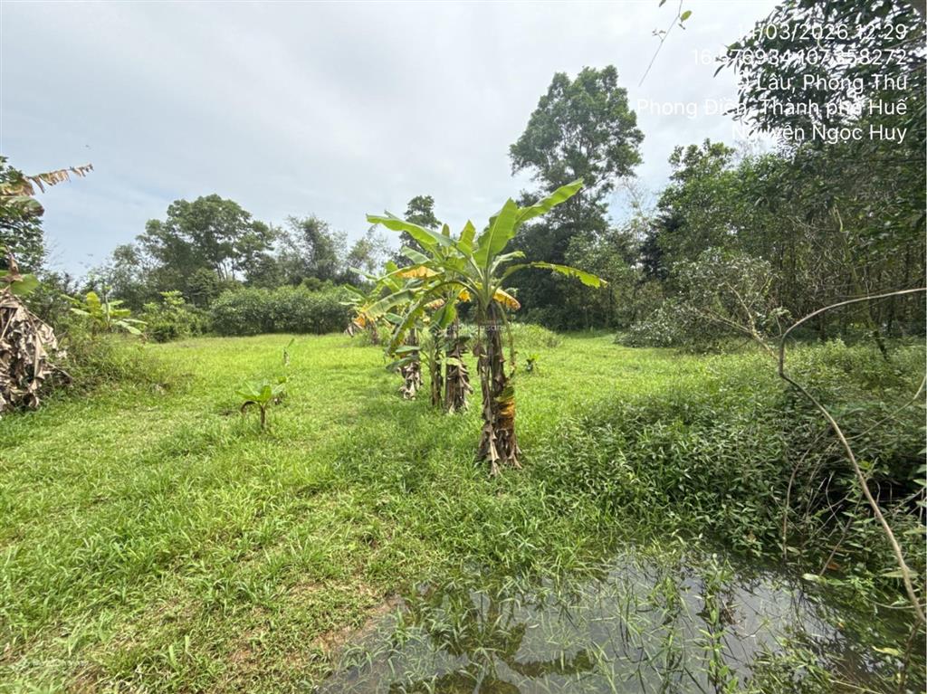 Ngân hàng thanh lý thửa đất tại thị trấn phong điền, huyện phong điền, tỉnh thừa thiên huế02830893