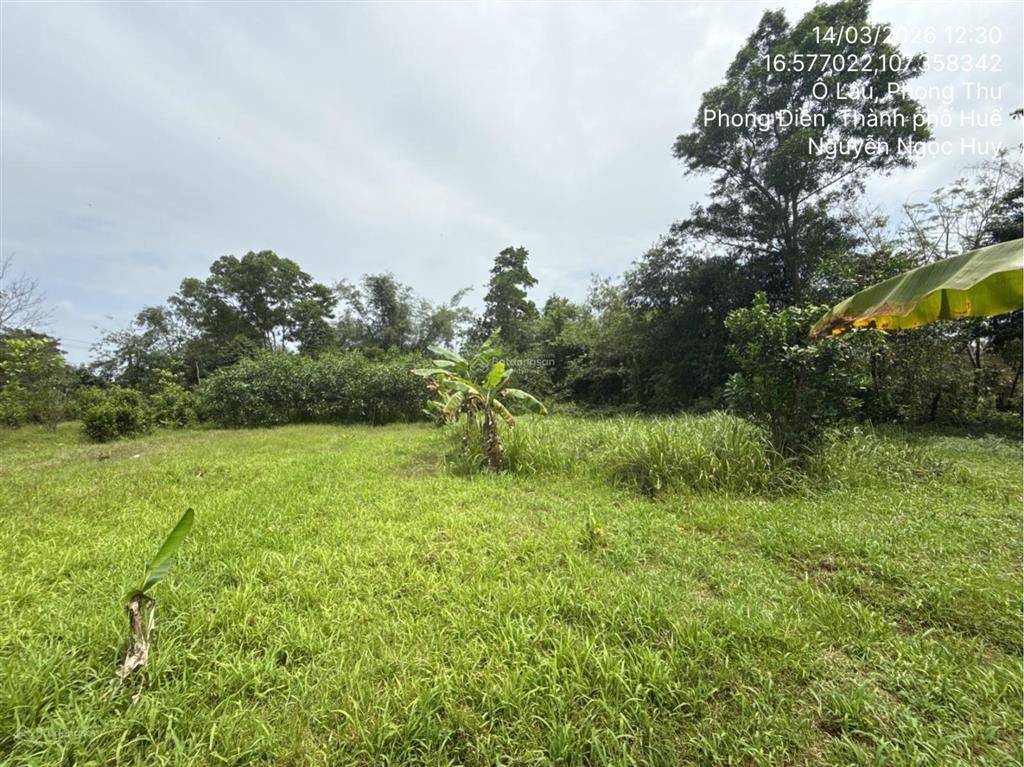 Ngân hàng thanh lý thửa đất tại thị trấn phong điền, huyện phong điền, tỉnh thừa thiên huế02830893