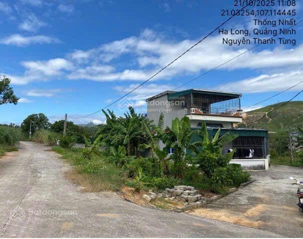 Bán đất tại td196, thôn chân đèo, thống nhất, hạ long, quảng ninh, 294,4m2  04885319