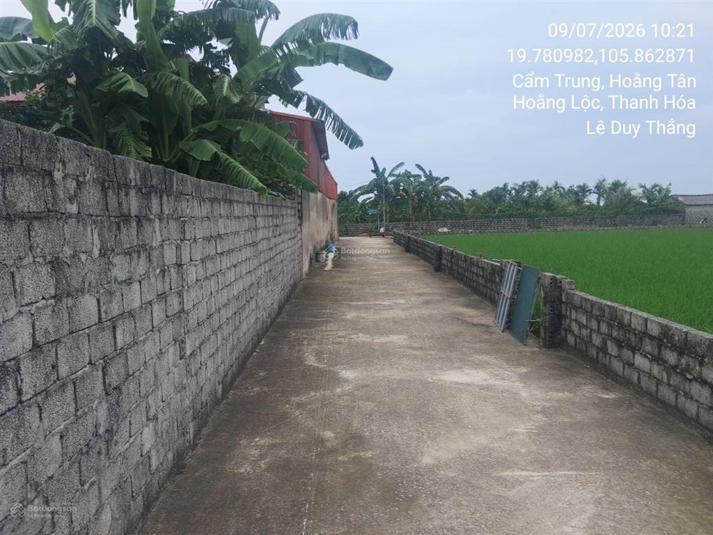 Bán thửa đất số 55, tờ bản đồ số 15, thôn cẩm trung, xã hoằng tân, huyện hoằng hóa, tỉnh thanh hóa