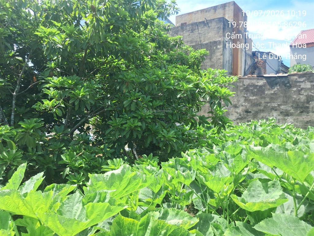 Bán thửa đất số 55, tờ bản đồ số 15, thôn cẩm trung, xã hoằng tân, huyện hoằng hóa, tỉnh thanh hóa