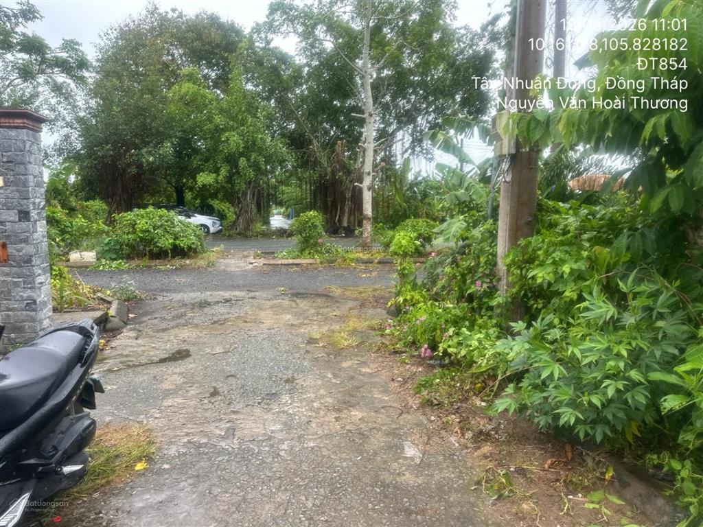 Bán nhà riêng tại td132, tbd63, xã hòa tân, huyện châu thành, tỉnh đồng tháp