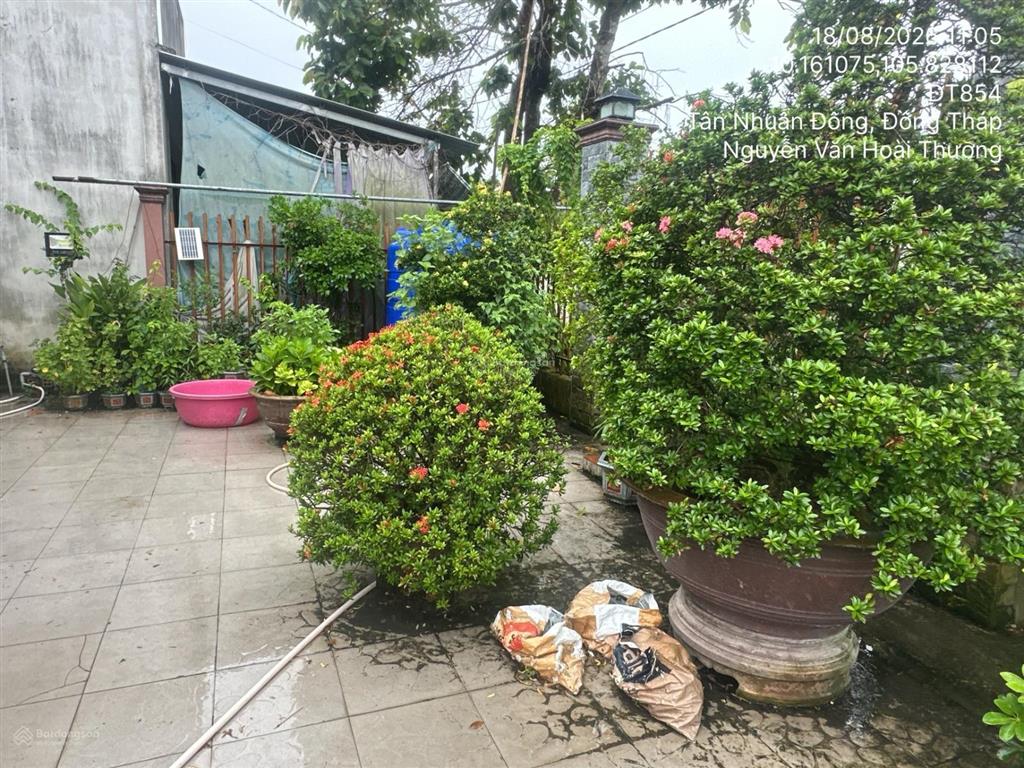 Bán nhà riêng tại td132, tbd63, xã hòa tân, huyện châu thành, tỉnh đồng tháp