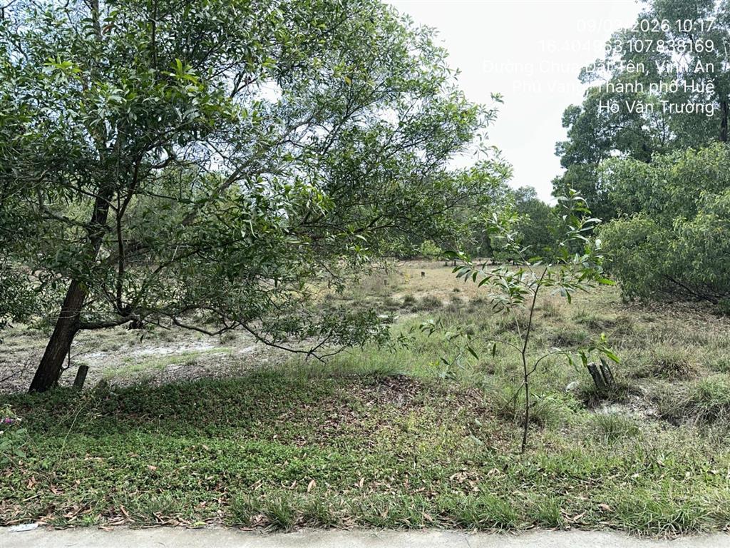 Bán thửa đất 121  122 tbd25, thôn an mỹ, xã vinh an, huyện phú vang, tỉnh thừa thiên huế