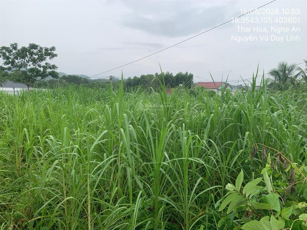 Bán thửa đất số 135, tbd số 4, khối quang minh, phường quang phong, thị xã thái hòa, tỉnh nghệ an