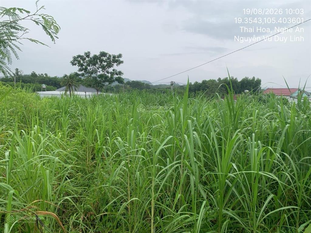Bán thửa đất số 135, tbd số 4, khối quang minh, phường quang phong, thị xã thái hòa, tỉnh nghệ an