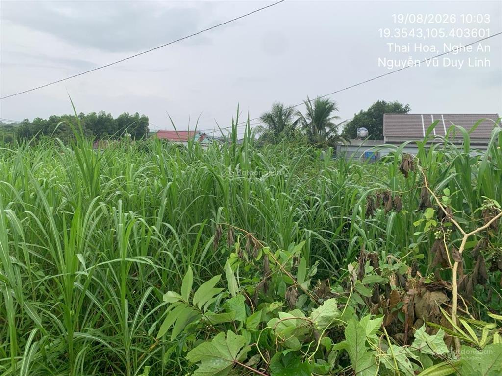 Bán thửa đất số 135, tbd số 4, khối quang minh, phường quang phong, thị xã thái hòa, tỉnh nghệ an