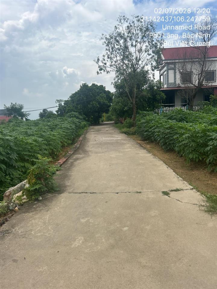 Bán thửa đất số 219, tờ bản đồ 19, tại xã châu phong, huyện quế võ, tỉnh bắc ninh