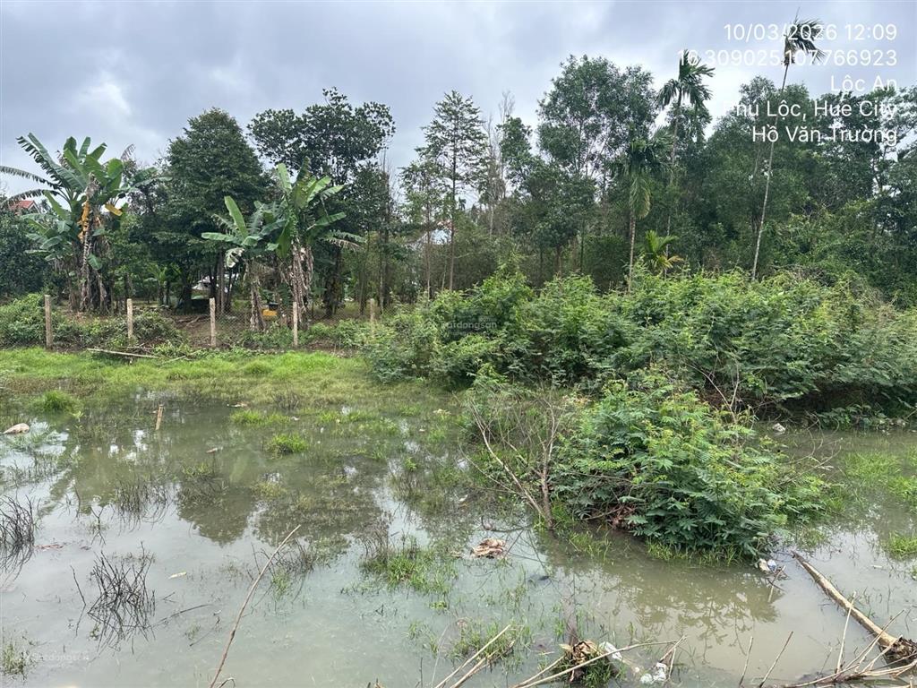 Bán thửa đất 219, tờ bản đồ 78, kdc 2, thôn phước mỹ, xã lộc an, huyện phú lộc, tỉnh thừa thiên huế