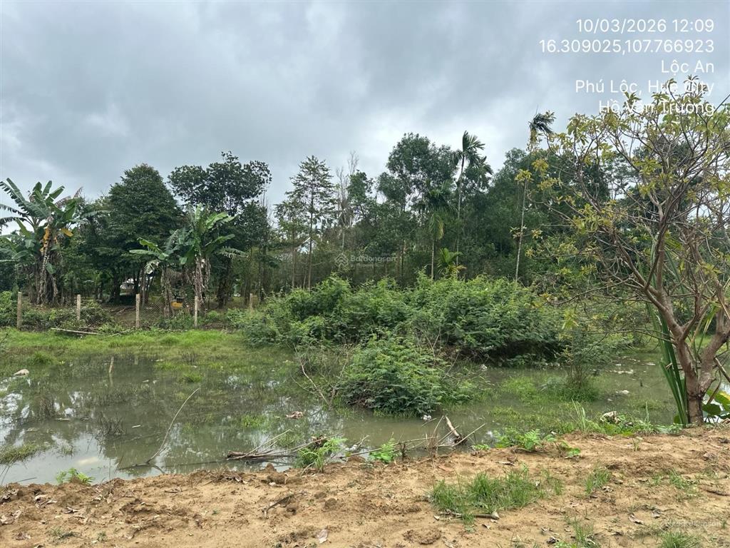 Bán thửa đất 219, tờ bản đồ 78, kdc 2, thôn phước mỹ, xã lộc an, huyện phú lộc, tỉnh thừa thiên huế