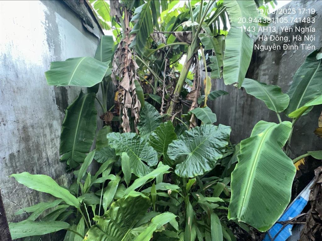 Bán nhà riêng tại td48, tbd05, do lộ, phường yên nghĩa, quận hà đông, tp hà nội