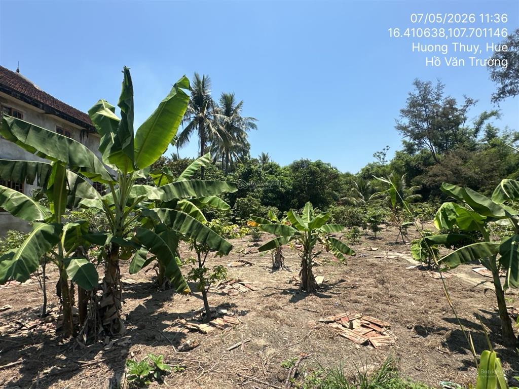 Bán thửa đất 688, tờ bản đồ 11, tổ 7, phường thủy lương, thị xã hương thủy, tỉnh thừa thiên huế