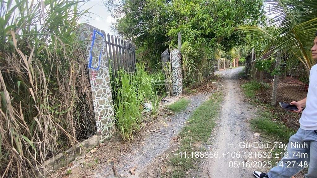 Bán đất tại td355356 tbd47, ấp cẩm an, xã cẩm giang, huyện gò dầu, tây ninh