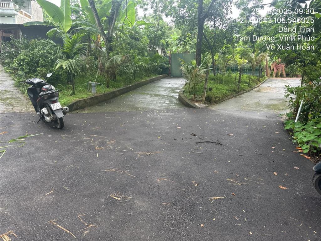 Ngân hàng thanh lý 1.080m2 đất tại td354 tbd31, xã đồng tĩnh, huyện tam dương, tỉnh vĩnh phúc