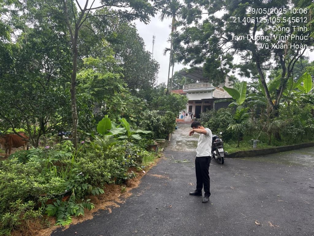 Ngân hàng thanh lý 1.080m2 đất tại td354 tbd31, xã đồng tĩnh, huyện tam dương, tỉnh vĩnh phúc