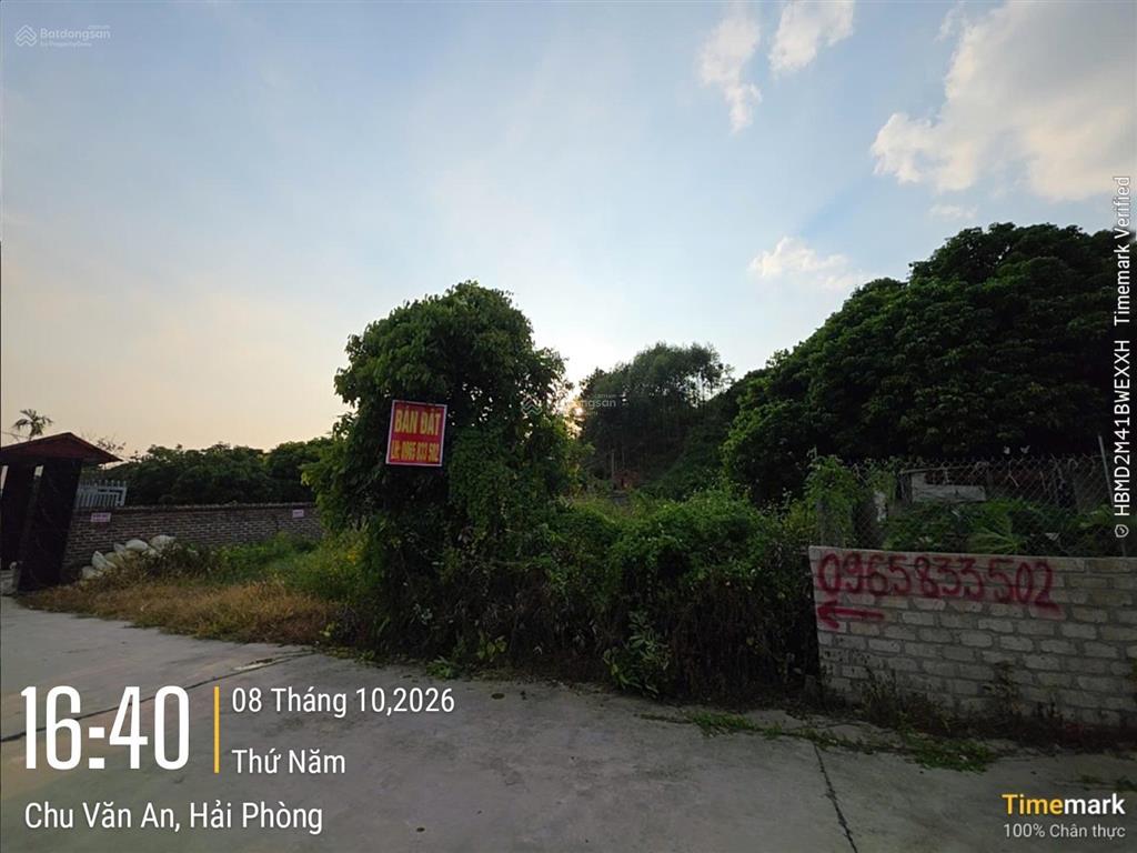 Bán thửa đất số 114, tờ bản đồ số 7, phường thái học, thành phố chí linh, tỉnh hải dương