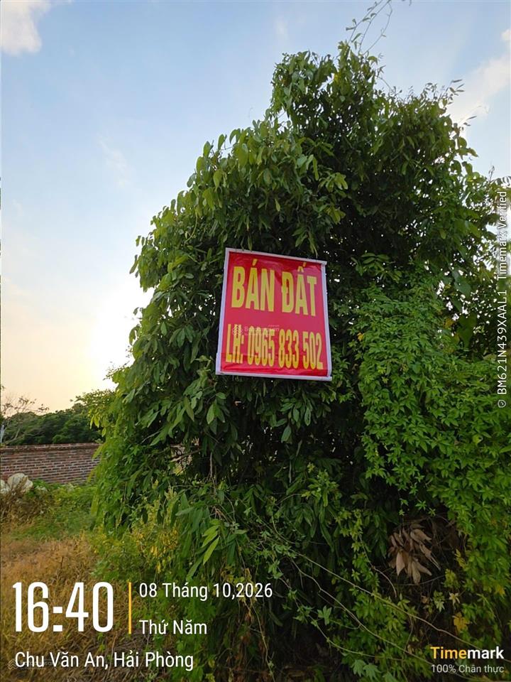 Bán thửa đất số 114, tờ bản đồ số 7, phường thái học, thành phố chí linh, tỉnh hải dương