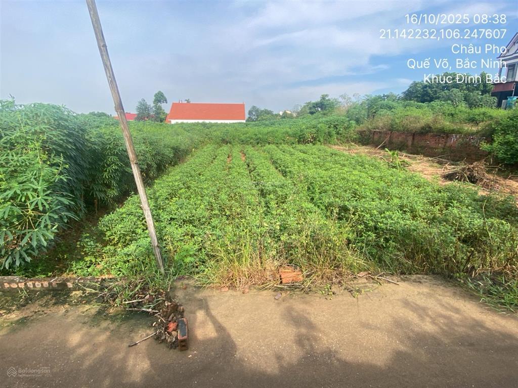 Bán đất thửa số 213, châu phong, quế võ, bắc ninh, 94.5m2, uy tín, giá tốt  03886449