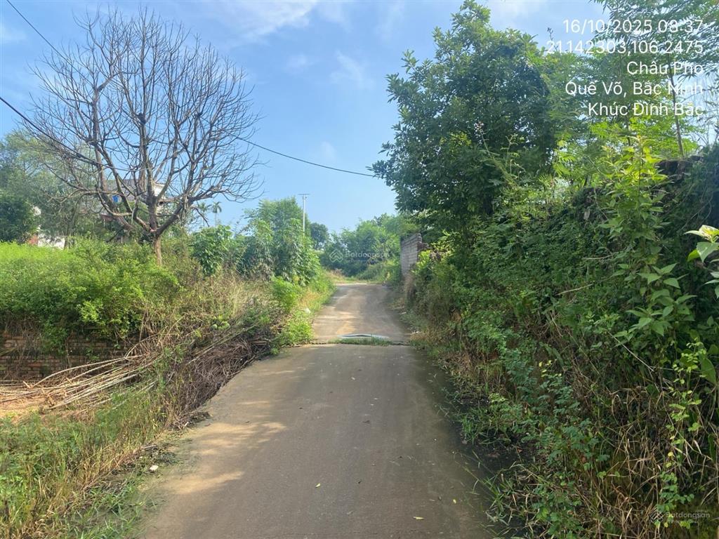 Bán đất thửa số 213, châu phong, quế võ, bắc ninh, 94.5m2, uy tín, giá tốt  03886449