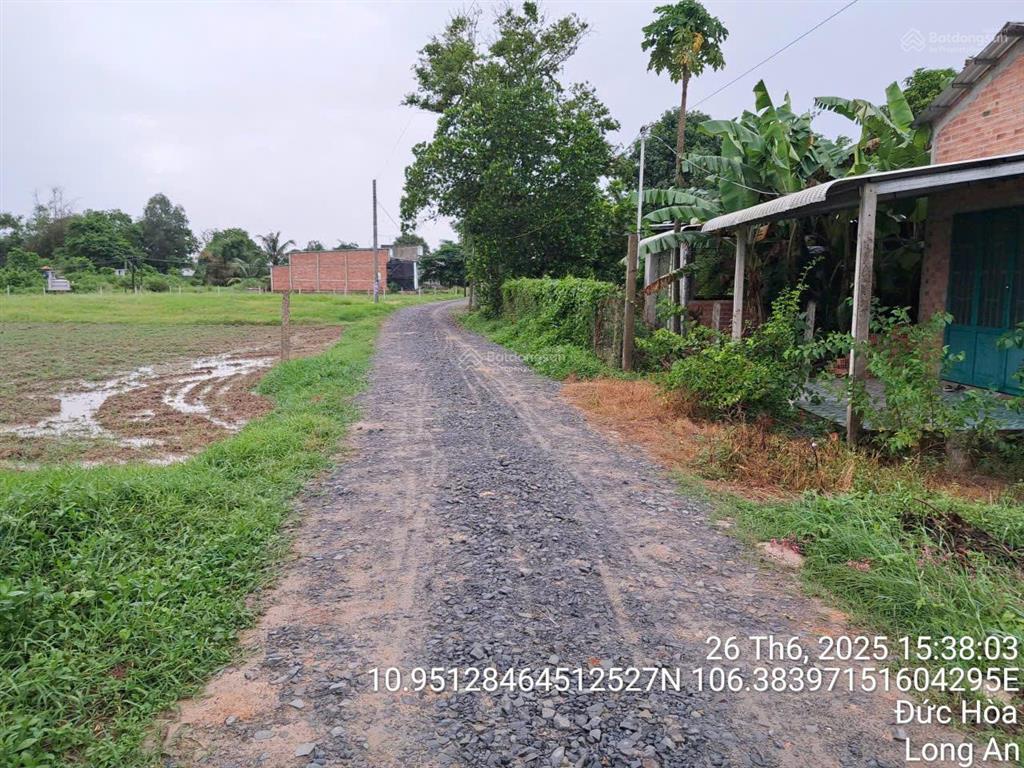 Ngân hàng bán trực tiếp 1.185m2 đất tại td656  660, tân mỹ, huyện đức hòa, tỉnh long an  03113226