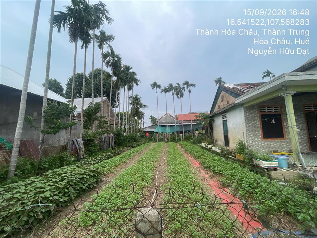 Bán nhà riêng tại td777 tbd17, thôn thành trung, xã quảng thành, huyện quảng điền, thừa thiên huế